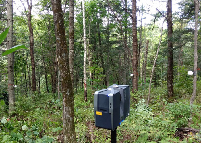 三維激光掃描儀在林業(yè)調查中的應用